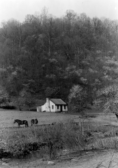 Cabin-Shawnee-Forestry-Image